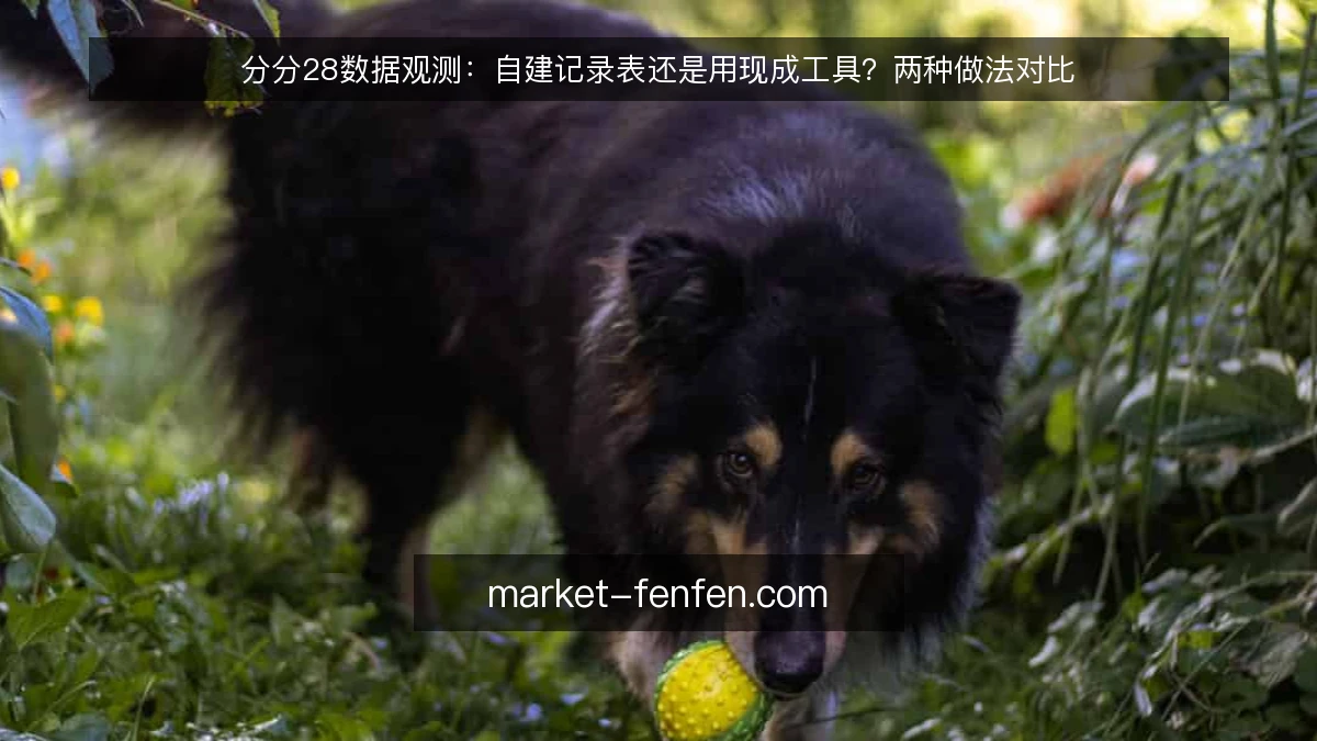 分分28数据观测:自建记录表还是用现成工具?两种做法对比
