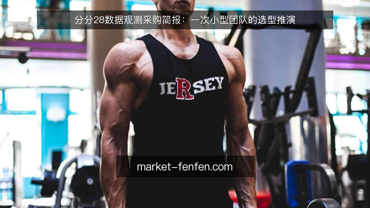 分分28数据观测采购简报:一次小型团队的选型推演